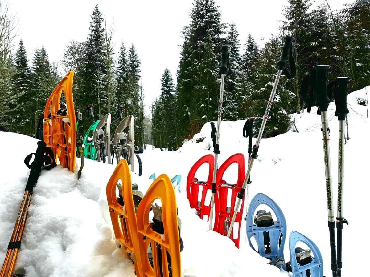 Auberge Refuge De Roybon Saint-Martin-en-Vercors Ngoại thất bức ảnh